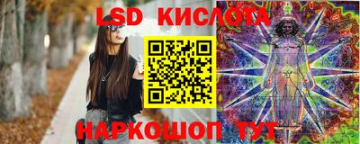 индика Лесосибирск