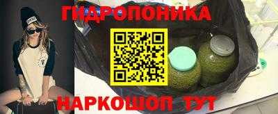 шишки Ликино-Дулёво