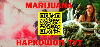 индика Лесосибирск