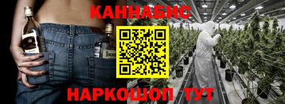 индика Лесосибирск