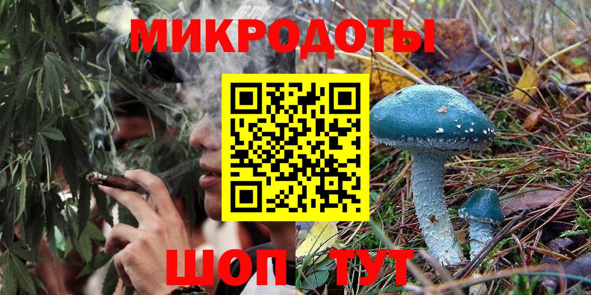 Камень-на-Оби  Галлюциногенные грибы MAGIC MUSHROOMS  Вход с VPN 